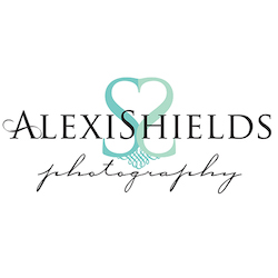 Tampa Bay Wedding Photographer Alexi Shields Photography