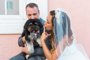 Bride and Groom Wedding Portrait with Dog | St. Petersburg Pet Wedding Planner Fairytail Petcare