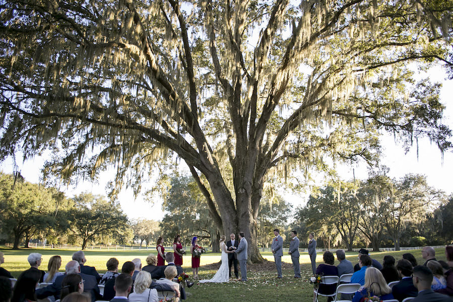 Rustic Outdoor Wedding Ceremony Under Spanish Moss Tree at Rustic Outdoor Wedding Venue The Lange Farm