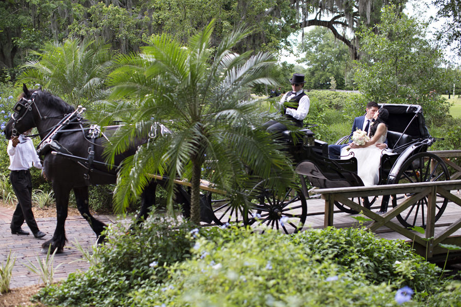 Bride and Groom Wedding Ceremony Exit in Horse Drawn Carriage