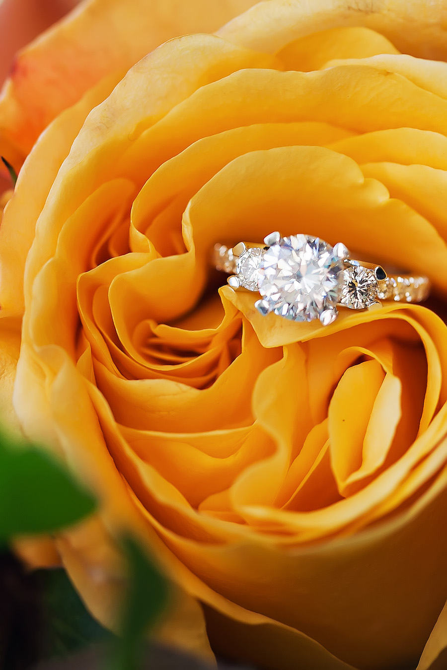 Tampa Bay Wedding Jeweler International Diamond Source Engagement Ring