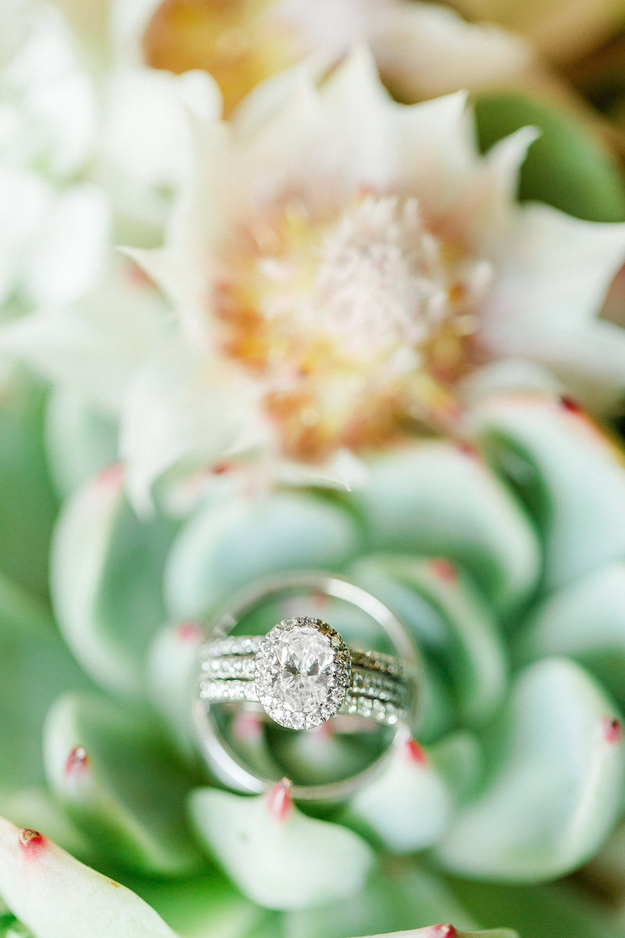 Diamond Halo Oval Engagement Ring | Tampa Bay Wedding Photographer Ailyn La Torre Photography