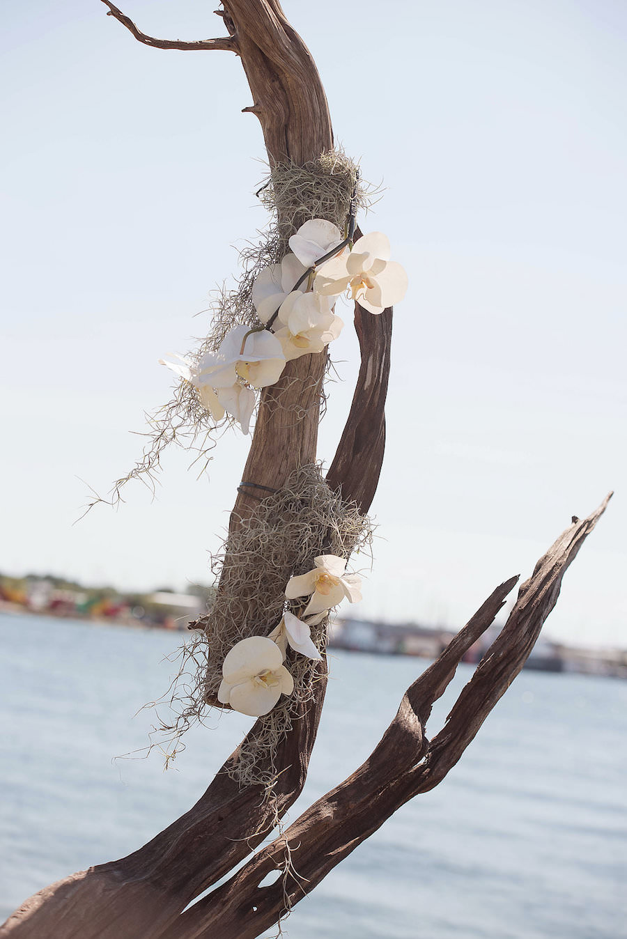 Driftwood Wedding Arch with Irises and Cascading Moss | Waterfront Wedding Ceremony Decor Ideas