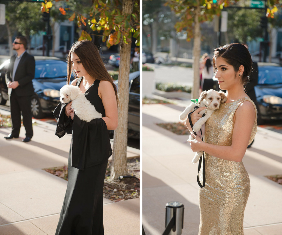 Bridesmaids Carrying Adoptable Human Society Dogs as Bridal Bouquets | Tampa Bay Wedding Venue The Vault | Wedding Photographer Marc Edwards Photographs