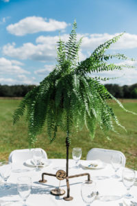 Tall Greenery Plant Wedding Centerpieces with Wooden Table Numbers | Rustic, Country Wedding Inspiration | Outdoor Tampa Bay Wedding Reception | Tampa Bay Wedding Florist Cotton & Magnolia