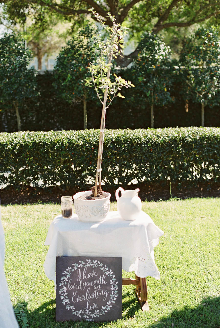Wedding Ceremony Ideas: Tree Ceremony