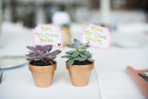 Miniature Succulent in Gold Painted Ceramic Pot with Hand Written Gold, Pink, and White Place Cards | Boho Beach Wedding Reception Table Decor