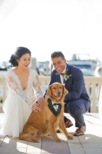 Wedding Ceremony Bride and Groom with Dog Portrait | Tampa Bay Wedding Photographer Andi Diamond Photography | Tampa Wedding Pet Coordinators Fairy Tail Pet Care