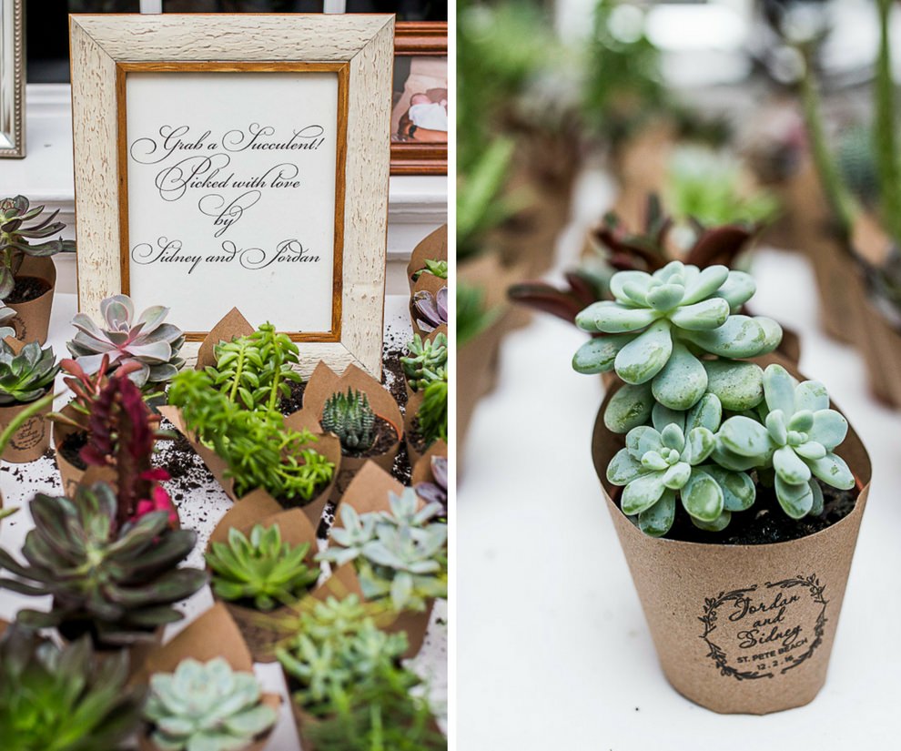 Succulent Wedding Favors with Custom Printed Cardboard Planters, and Stylish Printed Sign in White and Gold Frame