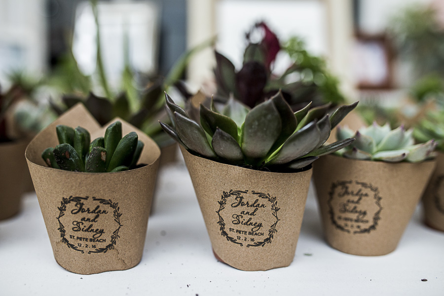 Succulent Wedding Favors with Custom Printed Cardboard Planters