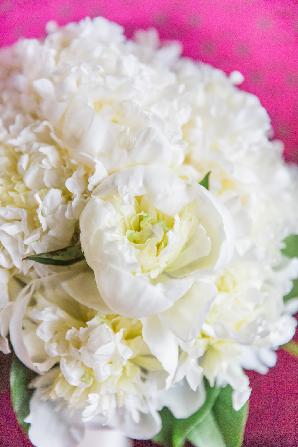 White Peony Wedding Bouquet with Greenery | St. Pete Wedding Florist Cotton and Magnolia