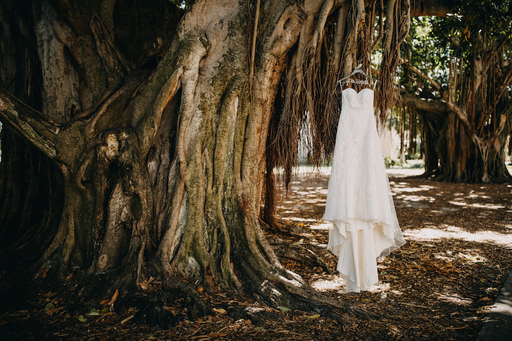 Strapless A Line Davids Bridal Wedding Dress on Customized Hanger in Banyan Tree