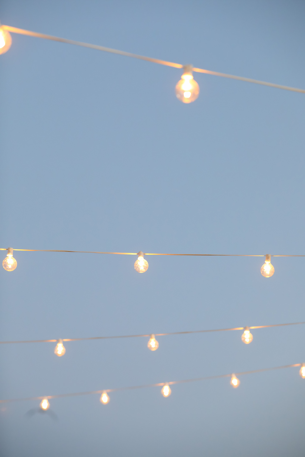 Outdoor Beach Wedding Reception Decor Details String Light Edison Bulbs