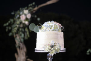 Outdoor Nighttime Wedding Reception Round White Single TIer Wedding Cake with Blue and Pink Florals with THistle and Greenery on Tall Silver Cakes Stand