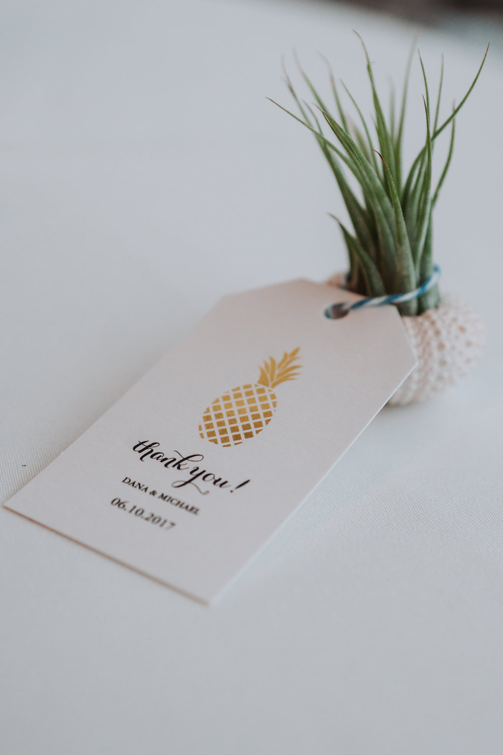 Succulent in White Porcelain Pot with Printed Gold Pineapple and Black Text Luggage Tag Wedding Favor