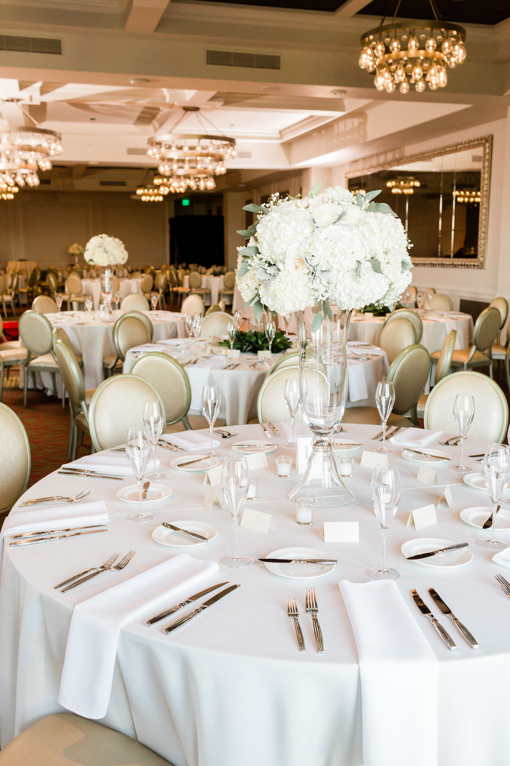 White Ivory and Taupe Wedding Reception with Round Tables, Oval Back Chairs, with Tall white Hydrangea and Greenery Centerpiece in Clear Glass Vase | Downtown St Pete Boutique Hotel Wedding Venue The Birchwood | Tampa Bay Wedding Florist The Birchwood
