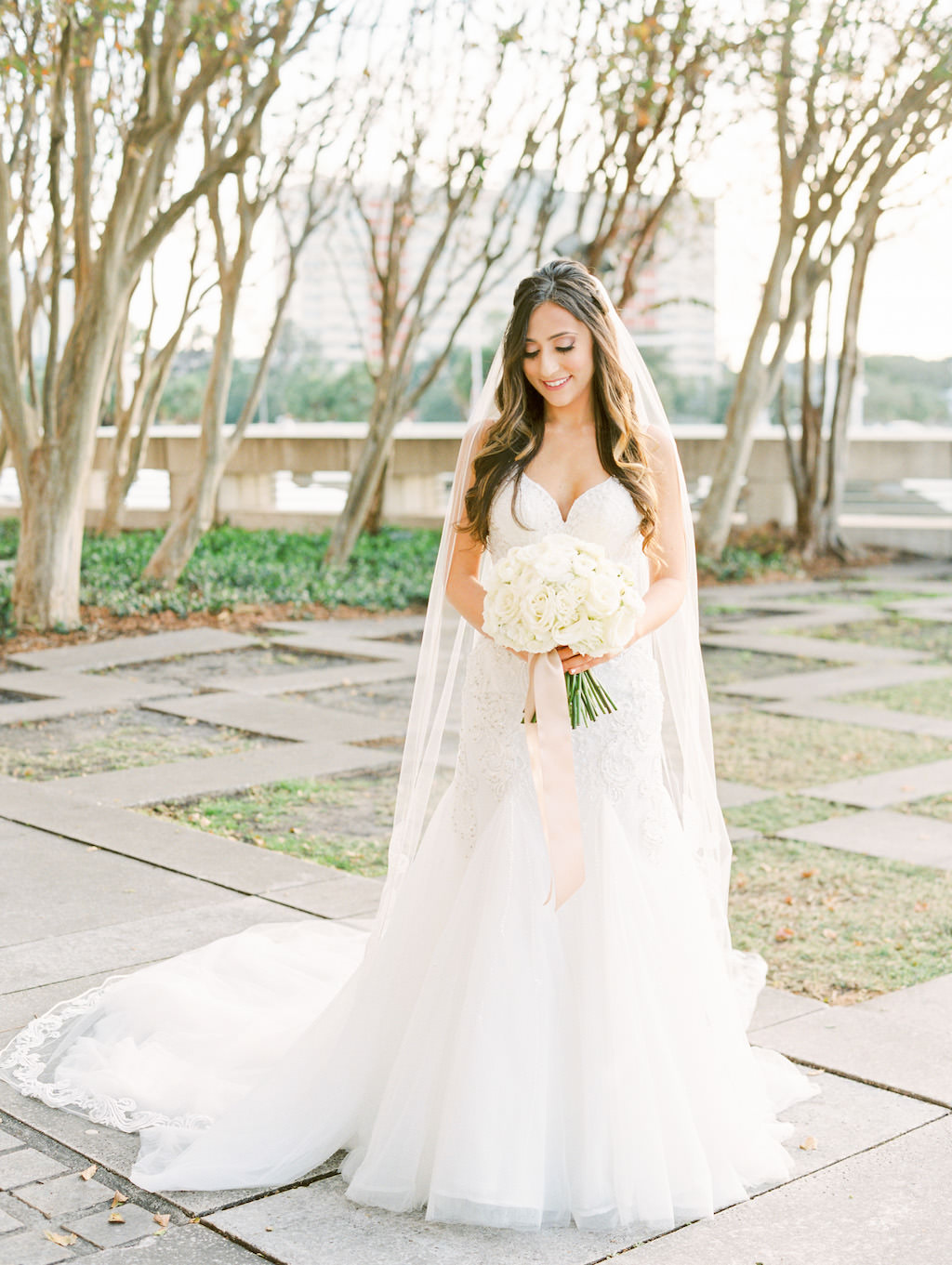 Downtown Tampa Park Outdoor Bridal Portrait in Princess Neckline Lace Trumpet Martina Liana Dress with Cathedral Veil, with White Rose Floral Bouquet with Champagne Ribbon