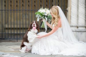 Outdoor Bride Wedding Portrait with Dog in Illusion Lace Tank Top Strap V Neckline Fit and Flare Wedding Dress with Cathedral Length Veil and White Rose and Greenery Bouquet | Tampa Bay Photographer Andi Diamond Photography | Hair and Makeup Michele Renee the Studio