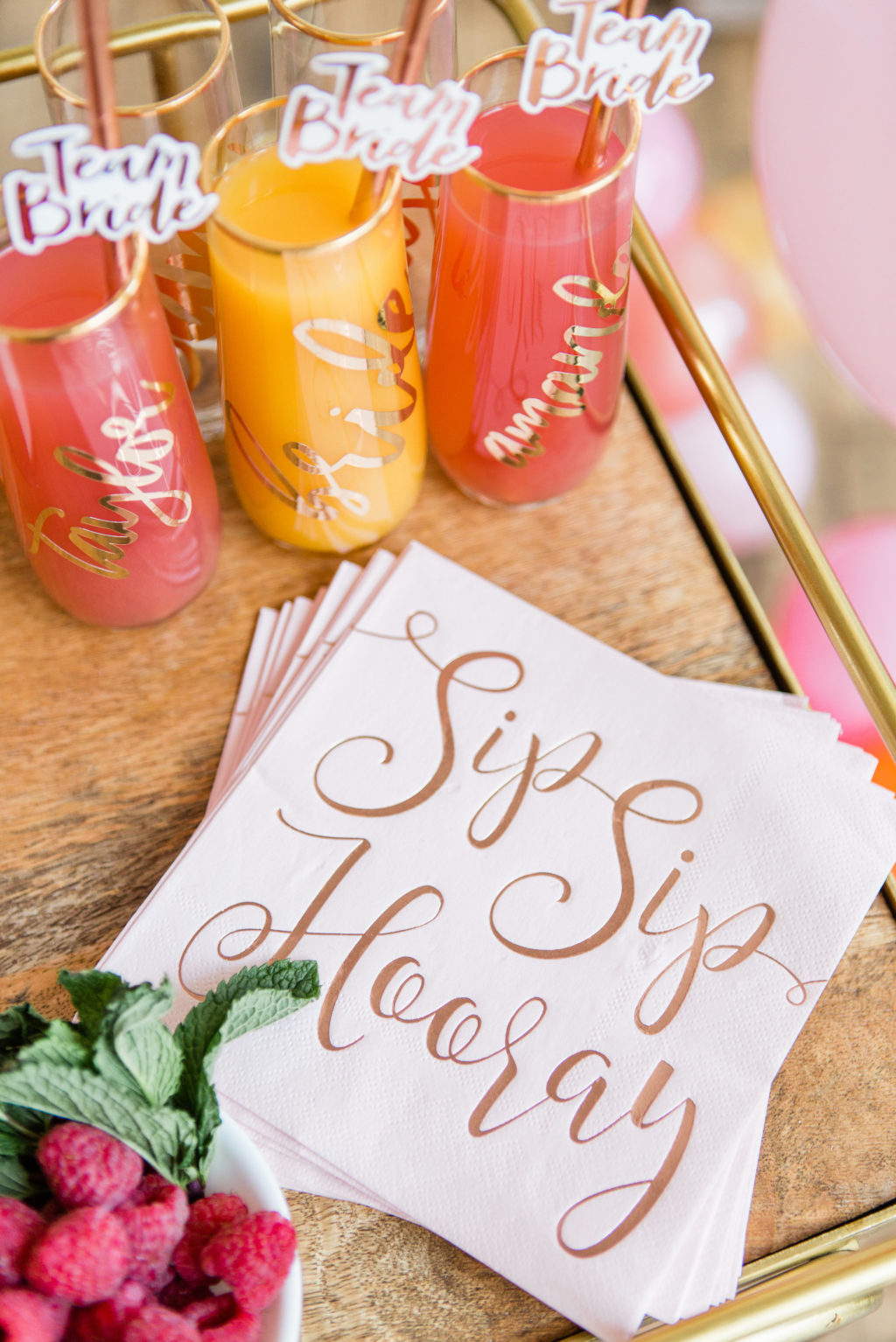 Davids Bridal bridesmaid shower inspiration Photography by Lauryn 06