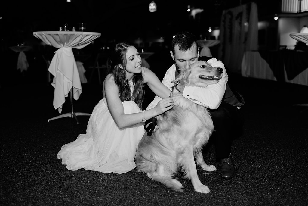 Bride and Groom Reception Wedding Portrait with Dog