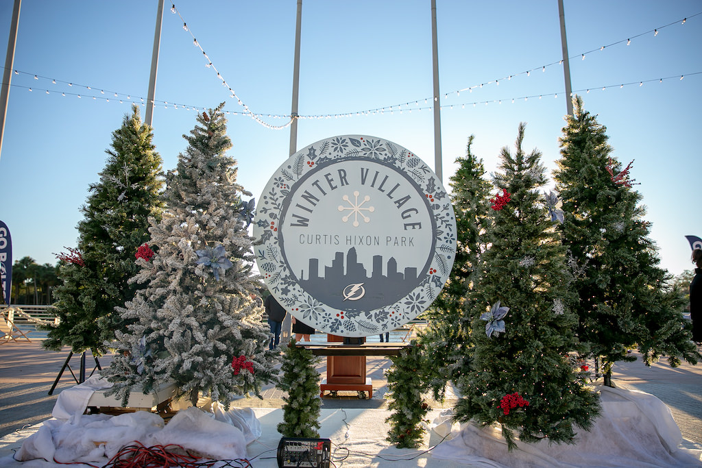 Surprise Wedding Engagement Curtis Hixon Park Winter Village Tampa Bay
