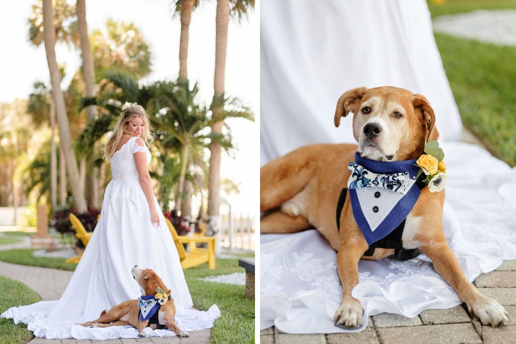 Florida Bride Outdoor Wedding Portrait in White Lace and Satin Cap Sleeve Ballgown Wedding Dress with Dog in Blue Tuxedo | Island Inspired Wedding Venue The Godfrey Hotel and Cabanas | FairyTail Pet Care | Tampa Bay Wedding Photographer Marc Edwards Photographs