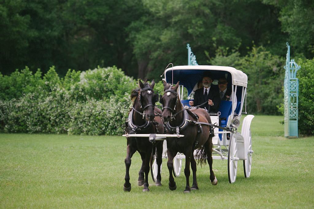 Rustic Florida Outdoor Wedding, Bride Arriving in Horse and Carriage to Wedding Ceremony | Tampa Bay Wedding Venue Lakeside Ranch