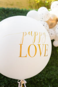 Wedding Decor, Large Round White Balloon with Gold Font | Tampa Bay Wedding Photographer Caroline and Evan Photography | Designer and Planner Southern Glam Weddings and Events