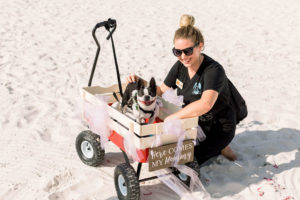 Dog in Wagon with Wooden Wedding Sign on Clearwater Beach | Pet Planner FairyTail Pet Care