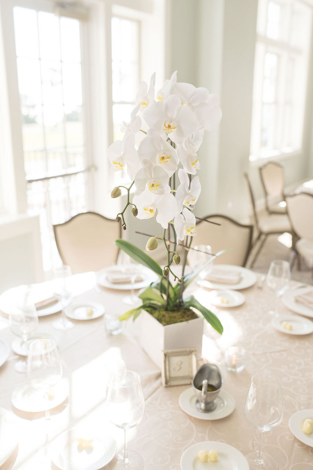 Simple, Classic Wedding Reception Decor, Tall White Orchid Floral Centerpiece | Tampa Bay Wedding Photographer Kristen Marie Photography | Tampa Bay Wedding Planner Special Moments Event Planner