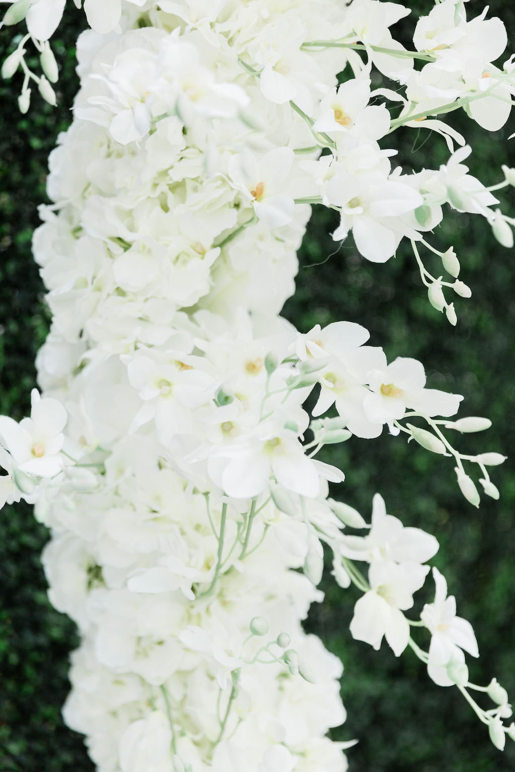 Elegant White Orchids Wedding Ceremony Decor | Tampa Bay Wedding Florist Gabro Event Services