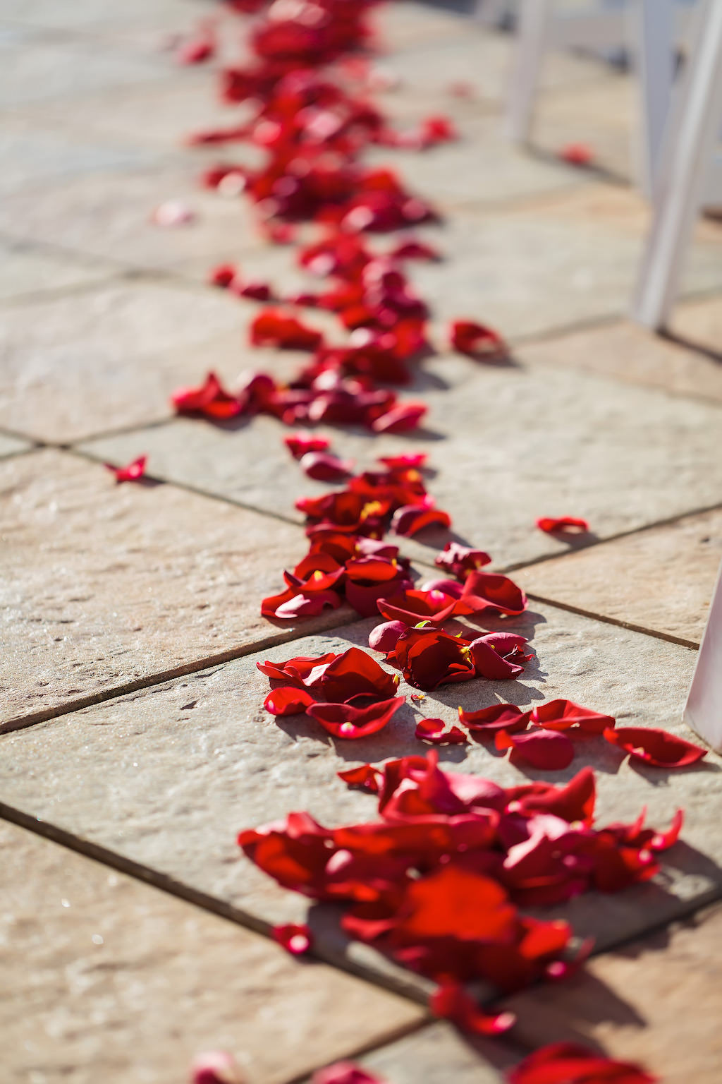 Romantic, Simple Florida Outdoor Wedding Ceremony Decor, Red Rose Petals Lining Aisle