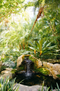 Outdoor Tropical Inspired St. Pete Wedding Venue | Sunken Gardens
