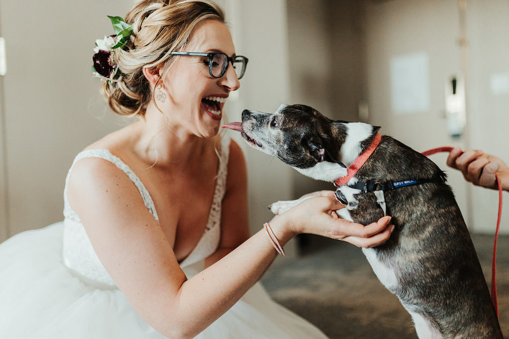 Tampa Bay Bride Wedding Portrait Funny Dog Licking Bride's Face with Braided Updo Wedding Hair Style | Hair and Makeup Artist Femme Akoi | Tampa Bay Wedding Pet Sitting Services by FairyTail Pet Care