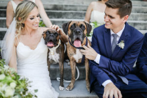 Florida Bride and Groom in Blue Suit with Two Dogs | Tampa Bay Wedding Photographer Lifelong Photography Studio | Wedding Pet Planner FairyTail Pet Care