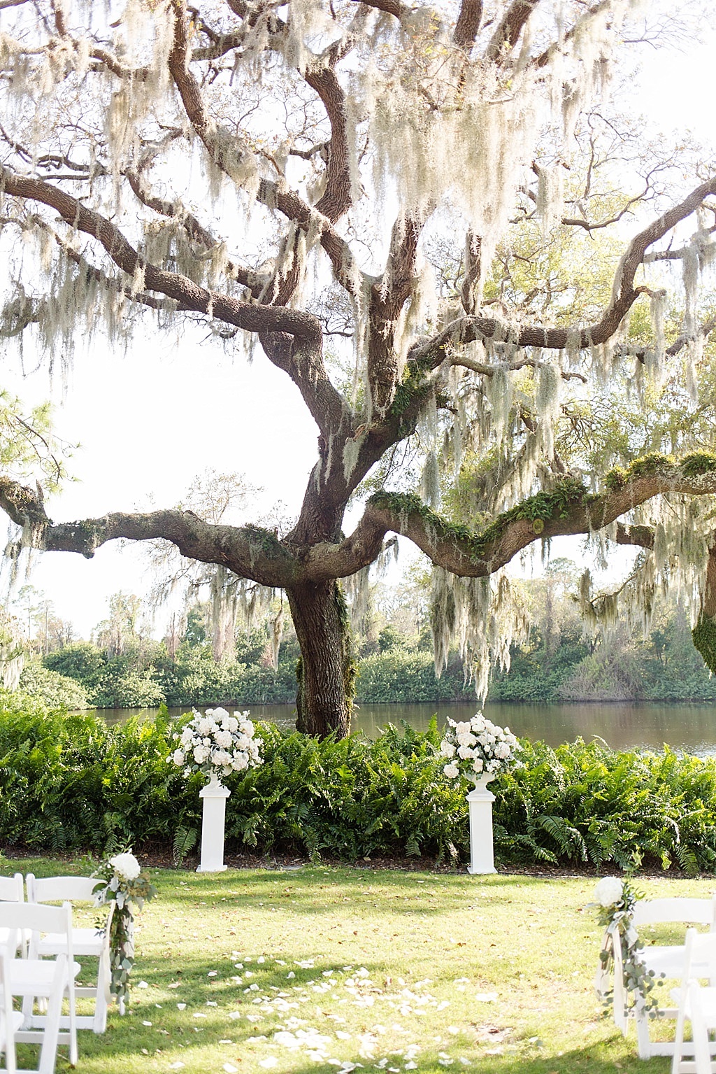 INSTAGRAM ROUND UP Outdoor Rustic Elegant Wedding Ceremony Under Tree, White Pedestals with White Floral Arrangements | Palm Harbor Wedding Venue Innisbrook Golf and Spa Resort
