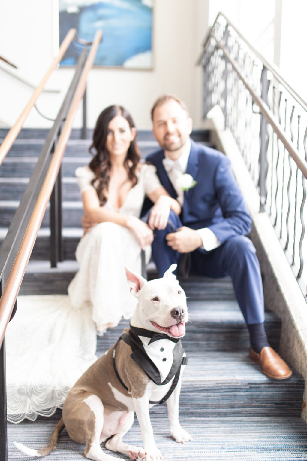 Florida Bride and Groom with Pitbull Dog in Tuxedo Wedding Portrait on Marriott Hotel Staircase | Tampa Wedding Pet Planner FairyTail Pet Care