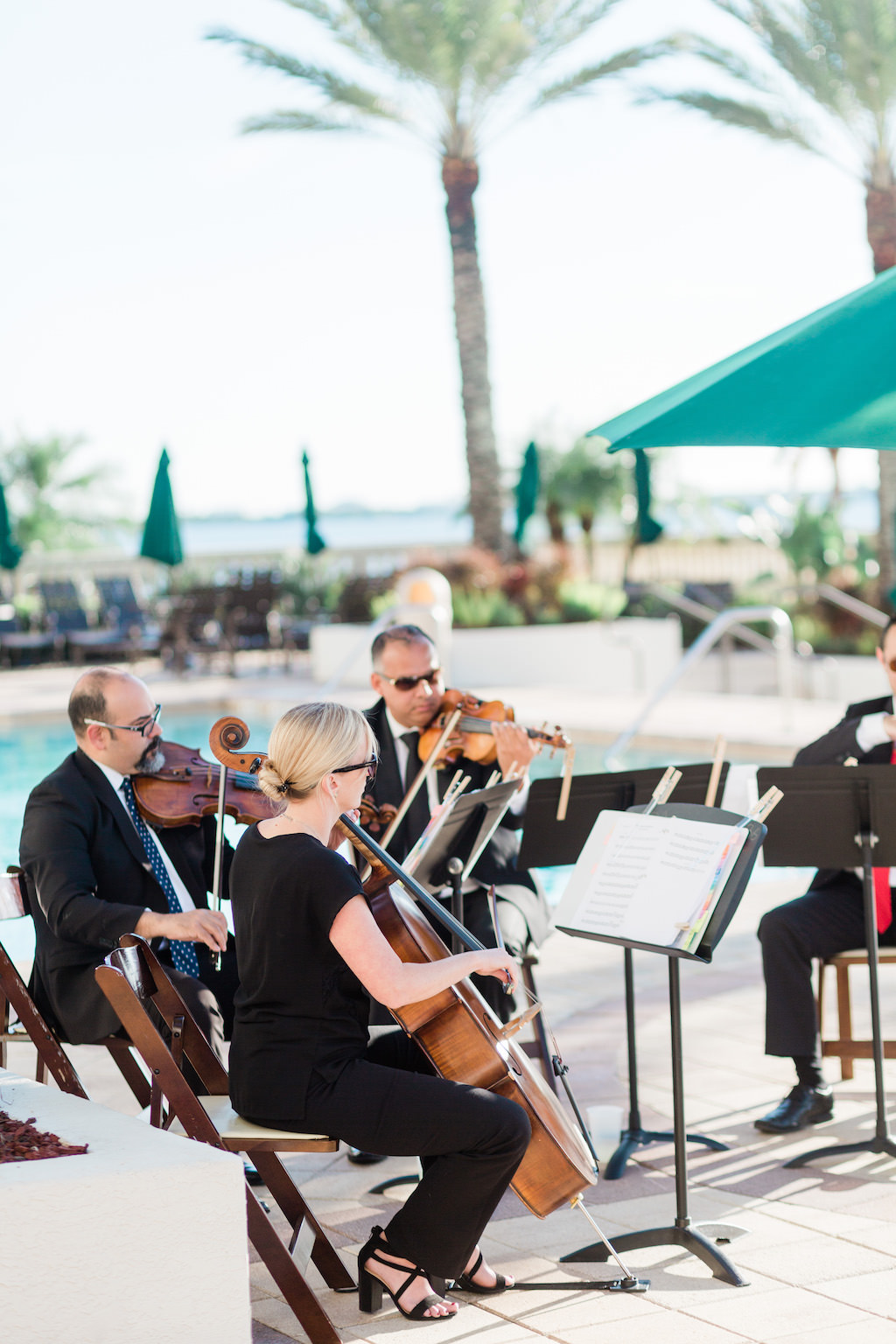 Outdoor Wedding Ceremony Live Musicians | Tampa Bay Live Violin Quartet Music Sunset Strings