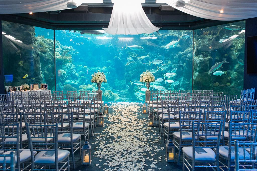 Unique Wedding Ceremony Decor at Downtown Tampa Florida Aquarium, Silver Chiavari Chairs, Lanterns, Flower Petal Aisle Runner, Pedestals with Floral Arrangements, White Linen Draping