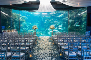 Unique Wedding Ceremony Decor at Downtown Tampa Florida Aquarium, Silver Chiavari Chairs, Lanterns, Flower Petal Aisle Runner, Pedestals with Floral Arrangements, White Linen Draping