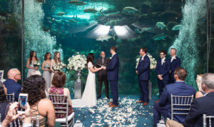 Bride and Groom Exchanging Vows During Wedding Ceremony at Unique Downtown Tampa Venue The Florida Aquarium, Silver Pedestals with White Floral Arrangements and Flower Petal Aisle Runner