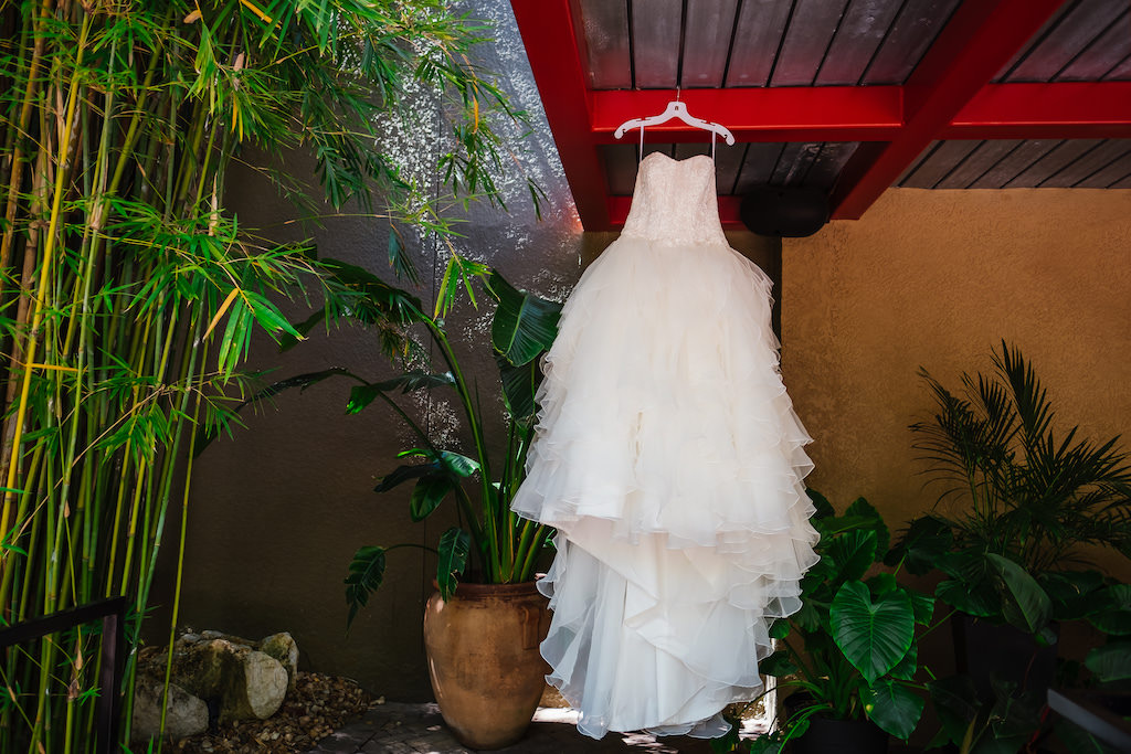 Modern Wedding Dress Hanging in Tropical Florida Garden, White Ballgown David's Bridal Strapless Wedding Dress