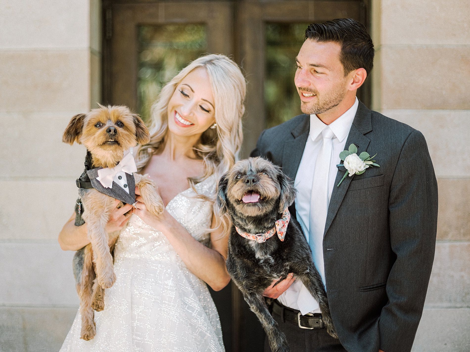 Sarasota Bride and Groom Holding Dogs Wedding Portrait