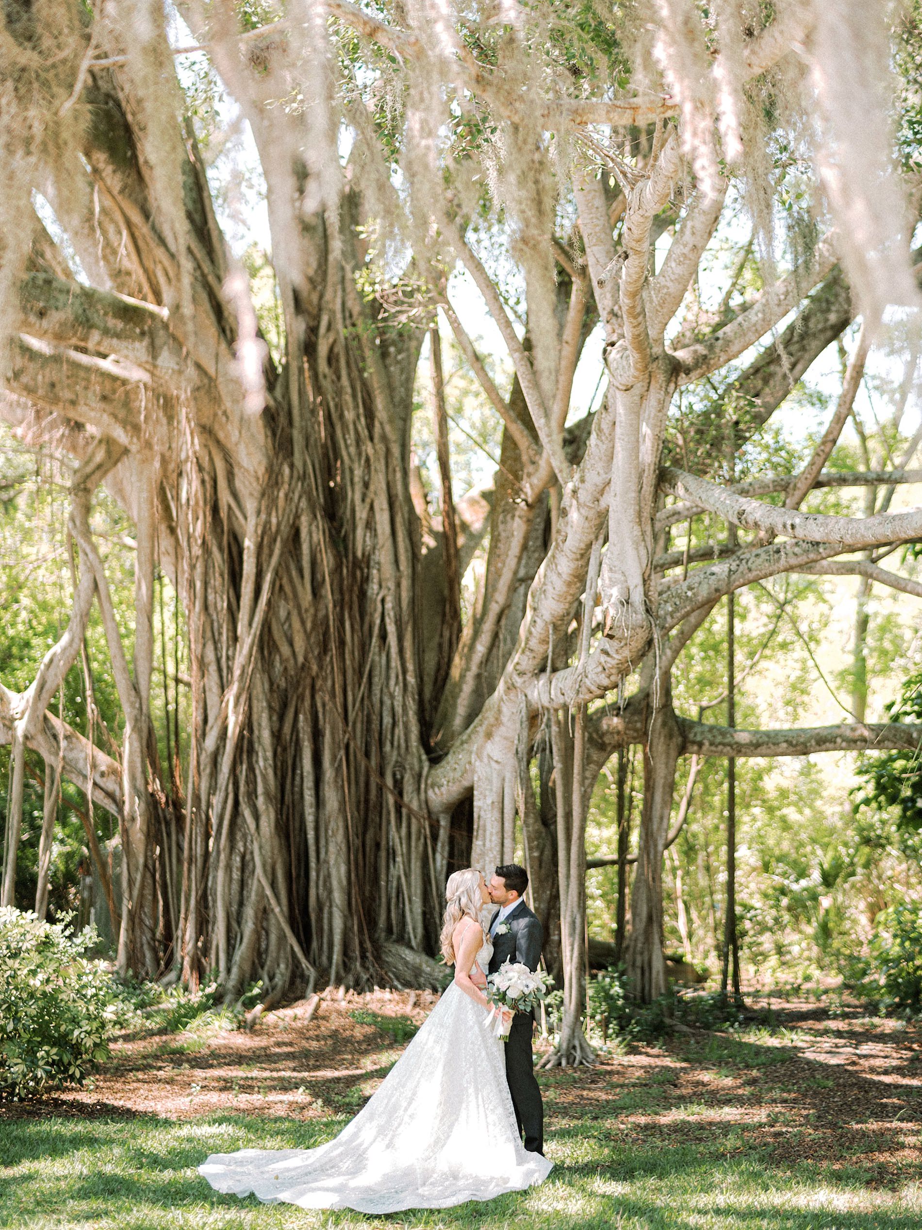 Outdoor Romantic Bride and Groom Wedding Portrait Under Banyan Tree