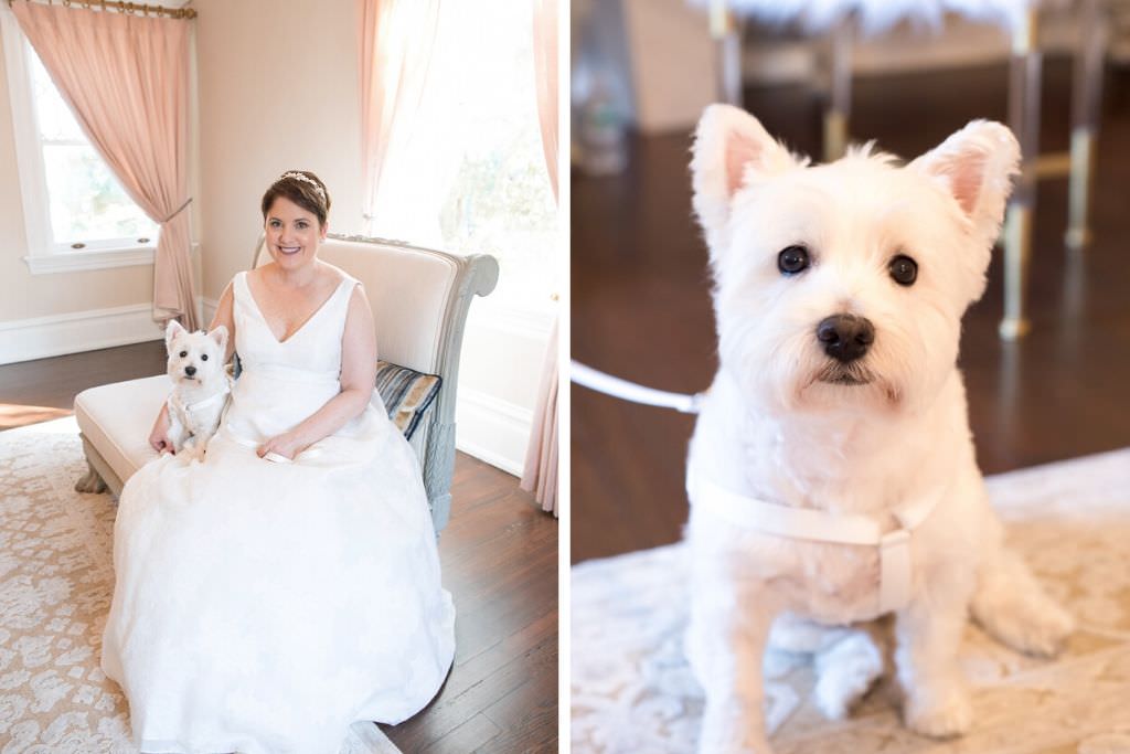 Classic Bride in V Neckline Wedding Dress with White Terrier Dog Portrait | Tampa Bay Wedding Photographer Carrie Wildes Photography