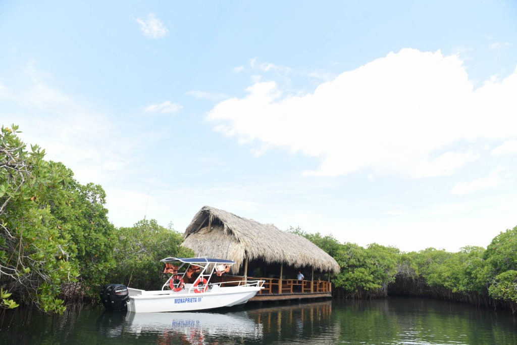 Baru Island Las Islas Private Island Hotel Cartagena, Colombia | Destination Wedding and Honeymoon Travel Tips | Photographer: Pedraza Producciones