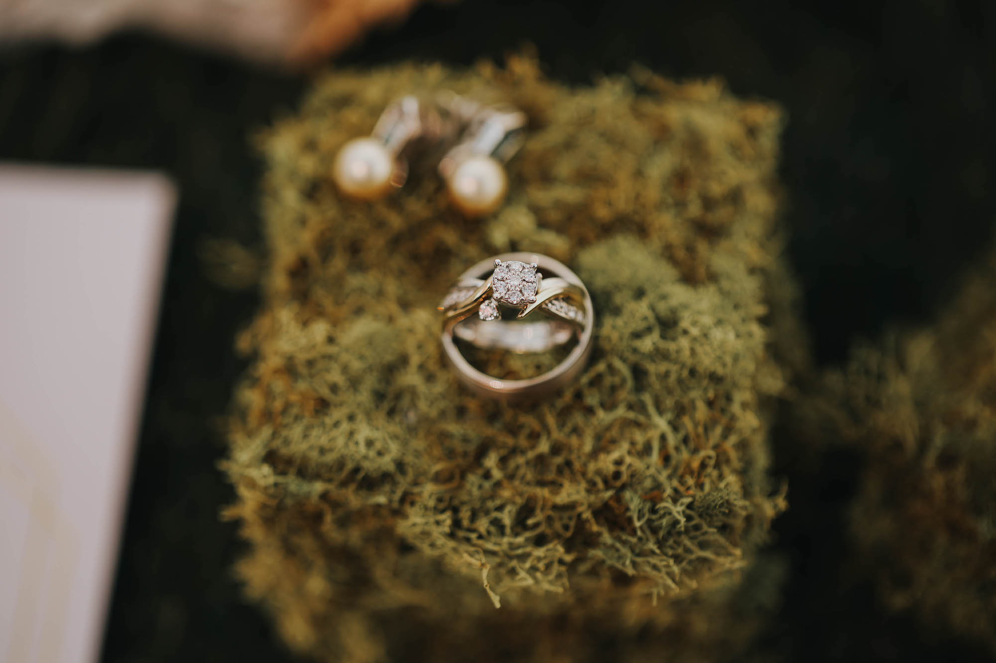 Wedding and Engagement Ring Portrait on Moss