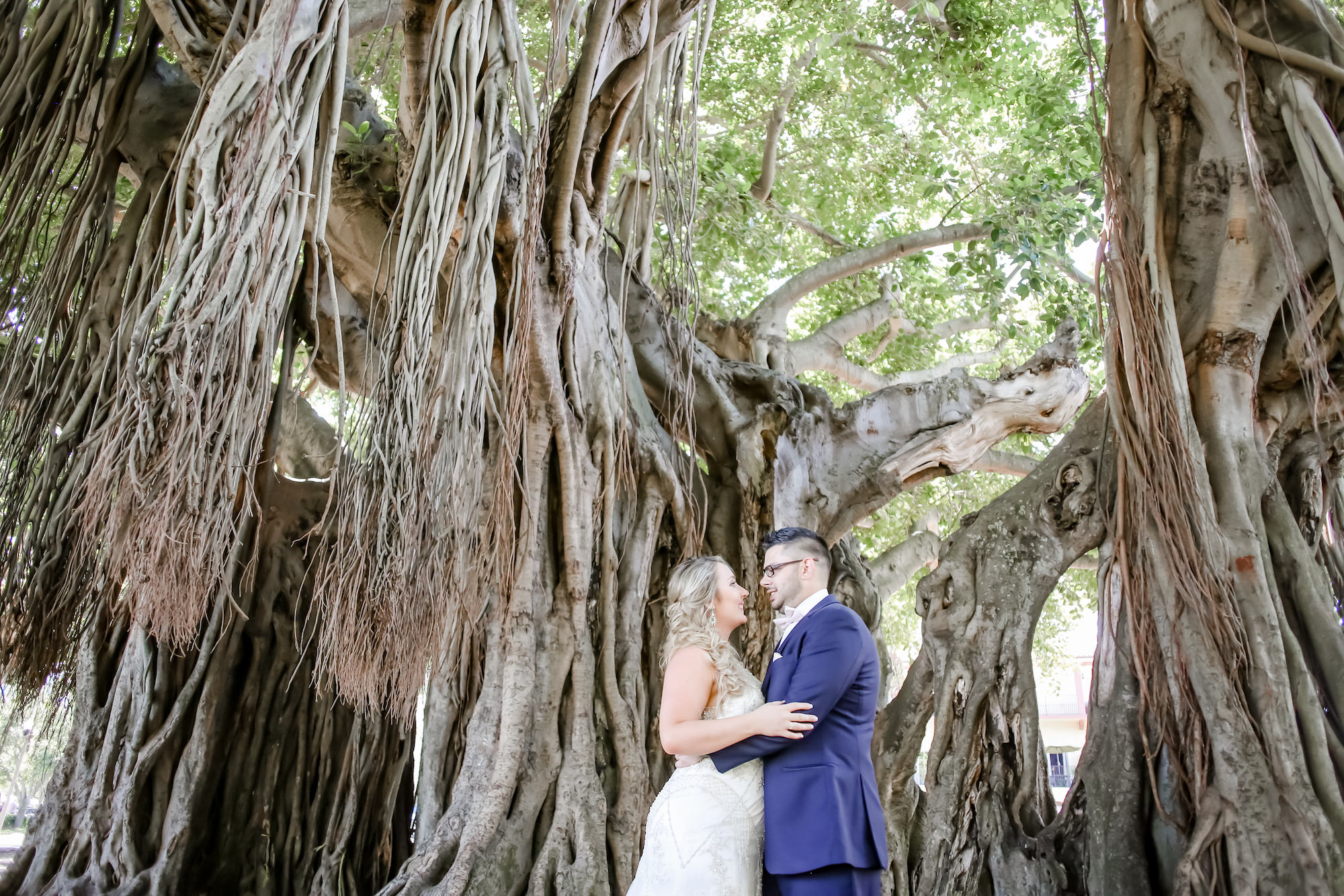 Florida Bride and Groom Wedding Portrait Under Towering Banyan Trees in Straub Park in Downtown St. Pete | Florida Wedding Photographer Lifelong Photography Studios