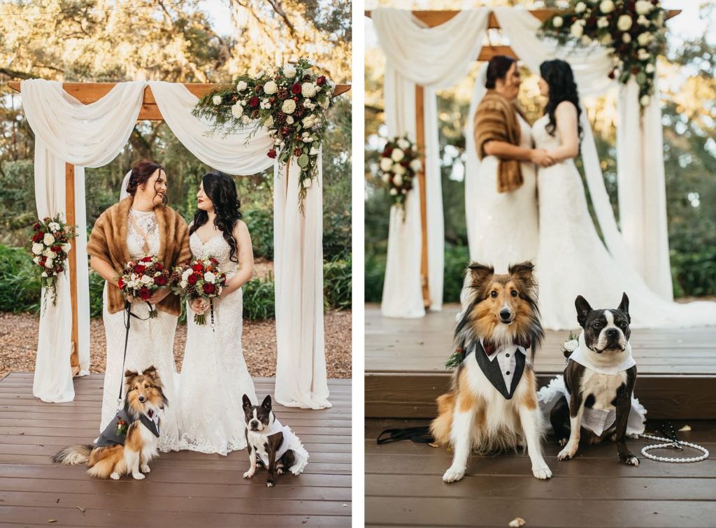 Rustic Country Fall Winter Outdoor Wedding Decor Draped Wood Ceremony Arch White Red and Greenery Pine Cones | Same Sex Wedding Brides LGBTQ | Tampa Wedding Pet Planners Fairytail Pet Care with Dogs in Wedding Tuxedo and Dress