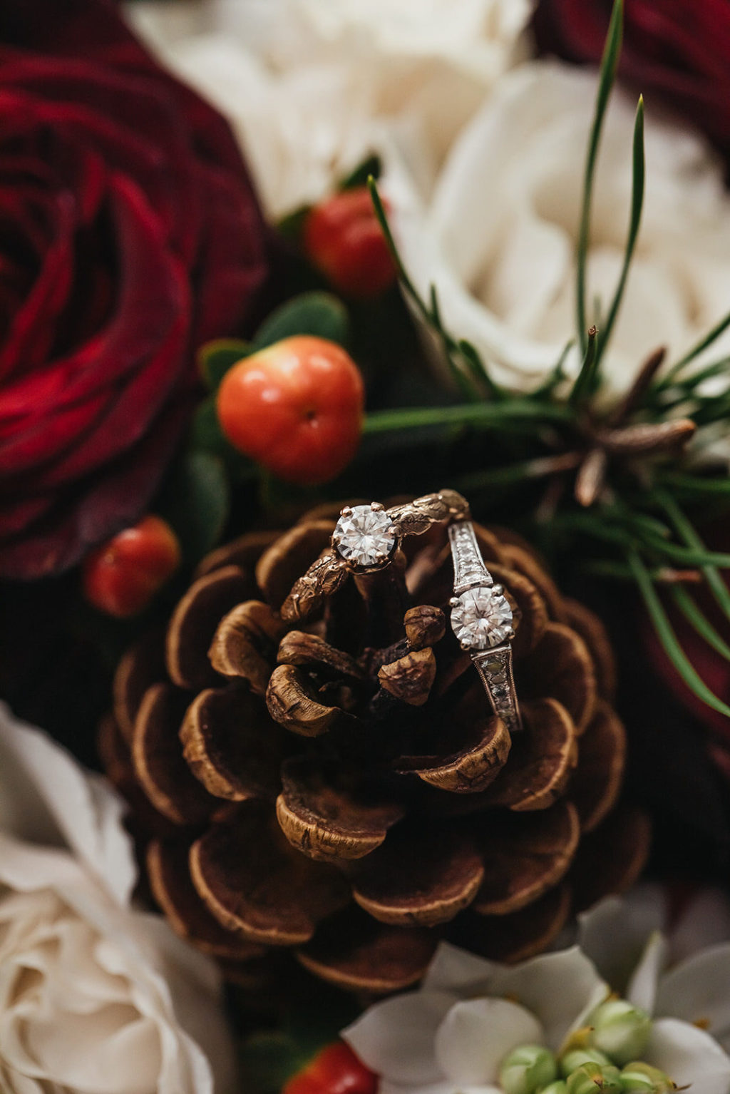 Rustic Country Fall Winter Wedding Rings Portrait on Pinecones